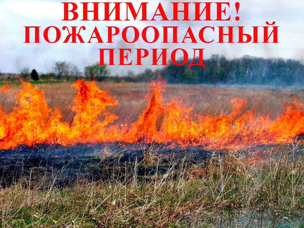 Правила поведения в пожароопасный период (пал сухой травы и отдых на природе).